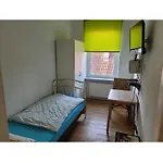 Higer Apartament Woerth am Rhein